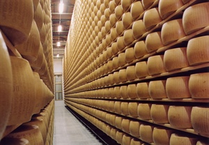 Crisi Parmigiano Reggiano: “Contro crollo prezzi utilizzare la programmazione produttiva del Consorzio”